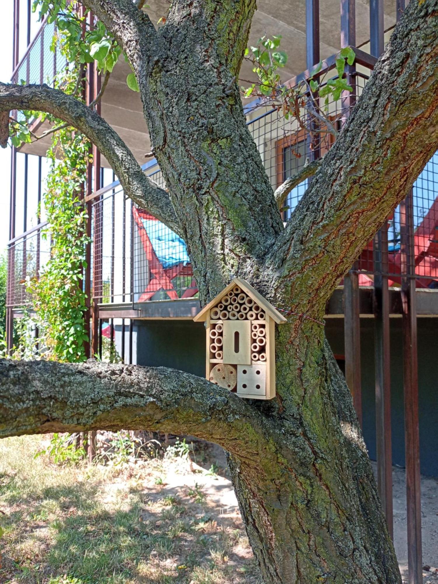 Vila Vekose - Apartman S Terasou A Zahradou Hradec Králové Buitenkant foto